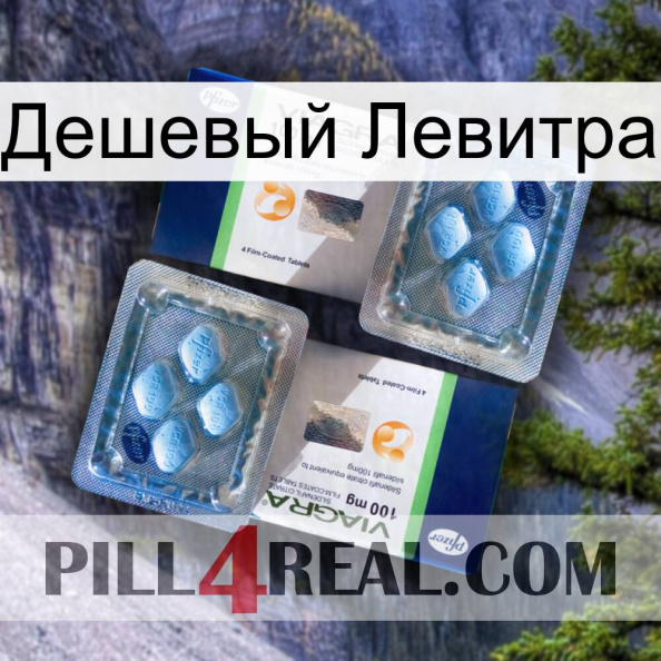 Дешевый Левитра viagra5.jpg